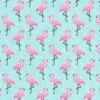 Flamingo Coated Cotton 1 Flamingo Coated Cotton -Tailor Supplies Sales Store 03 5