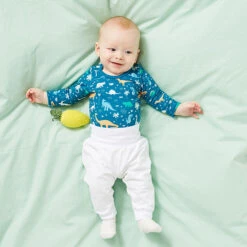 Dino World Cotton Jersey | PETIT CITRON – Petrol -Tailor Supplies Sales Store ZB05 16