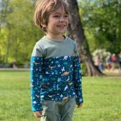 Dino World Cotton Jersey | PETIT CITRON – Petrol -Tailor Supplies Sales Store ZB13